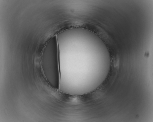 X0000111380564200907100939