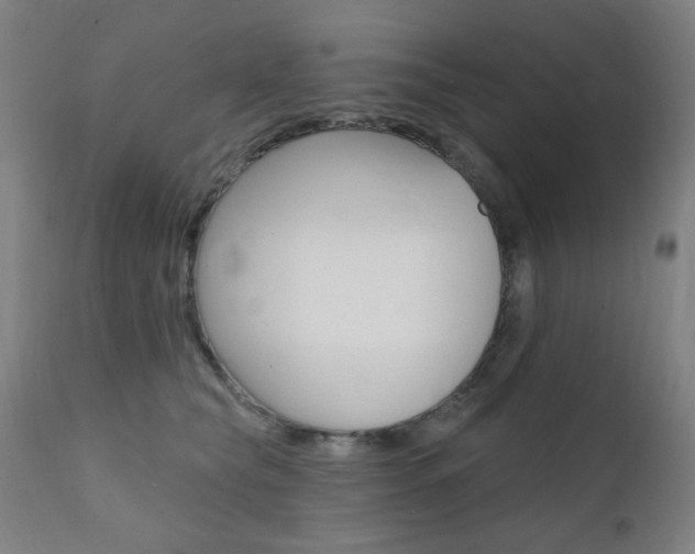X0000111380565200907100939