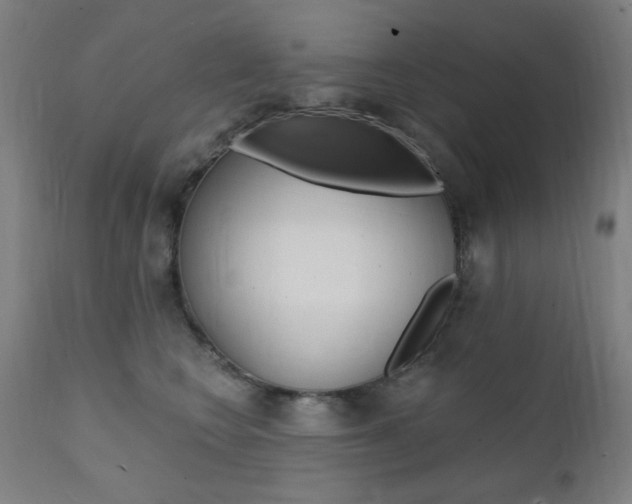 X0000111380566200907100939