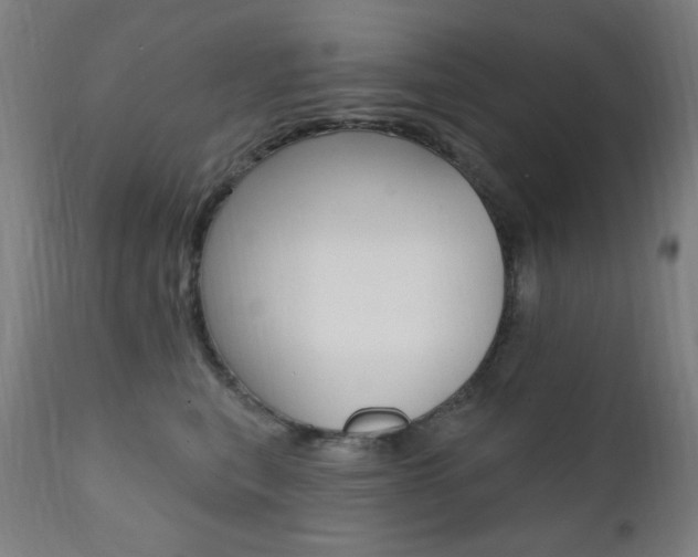 X0000111380567200907100939