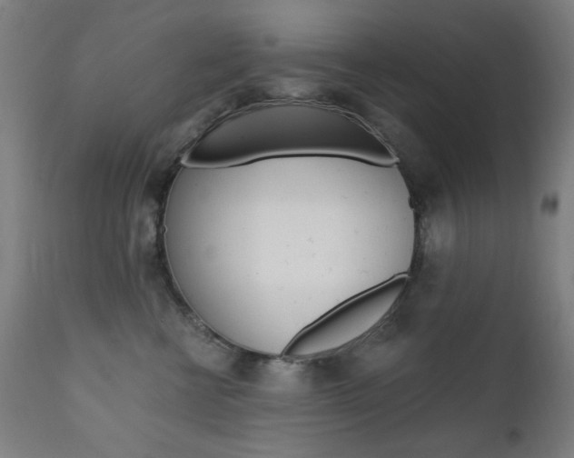 X0000111380570200907100940