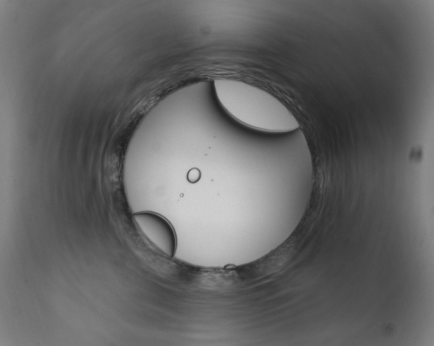 X0000111380571200907100940