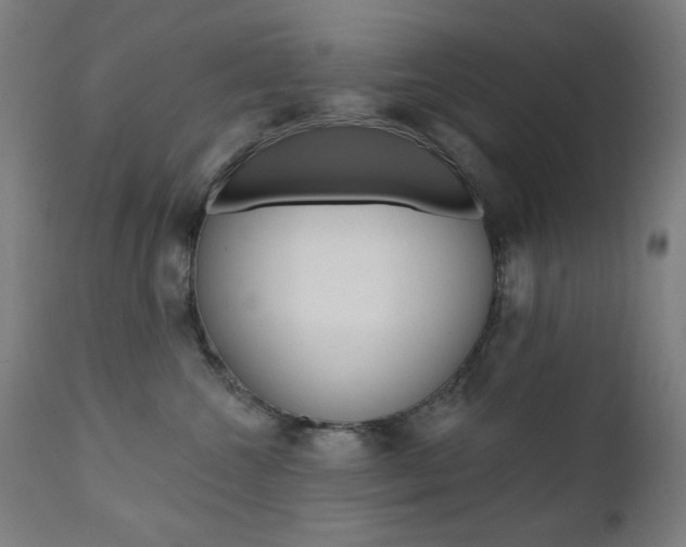 X0000111380572200907100940