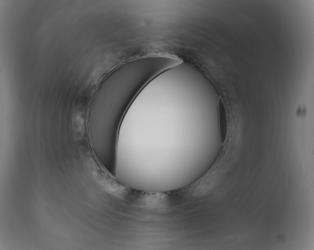 X0000111380576200907100940