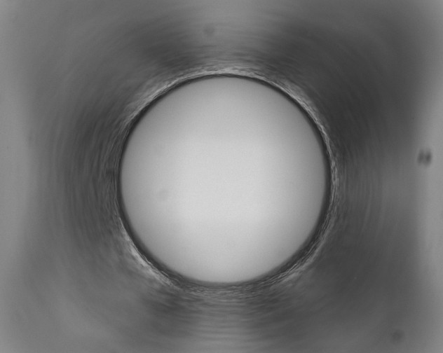 X0000111380577200907100939
