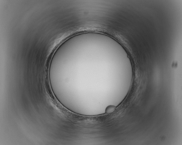 X0000111380578200907100939