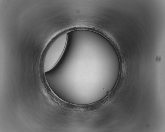 X0000111380580200907100939
