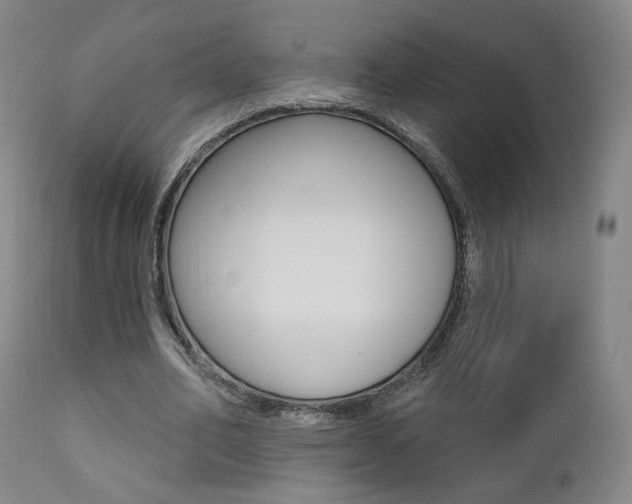 X0000111380582200907100939