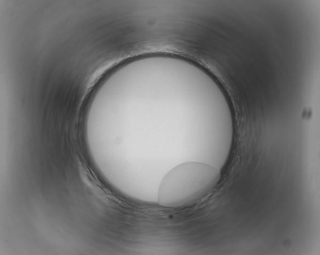 X0000111380583200907100939