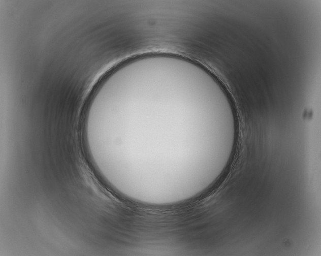 X0000111380584200907100939