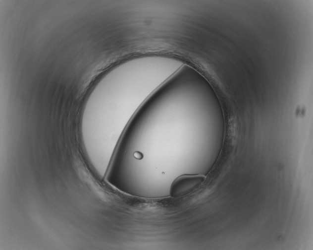 X0000111380589200907100939