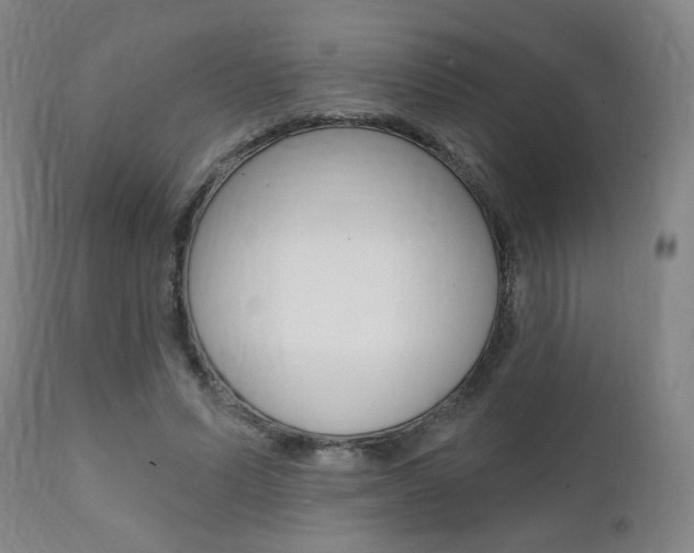 X0000111380591200907100939