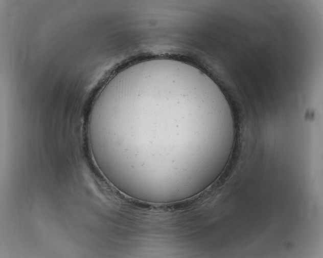 X0000111380592200907100939