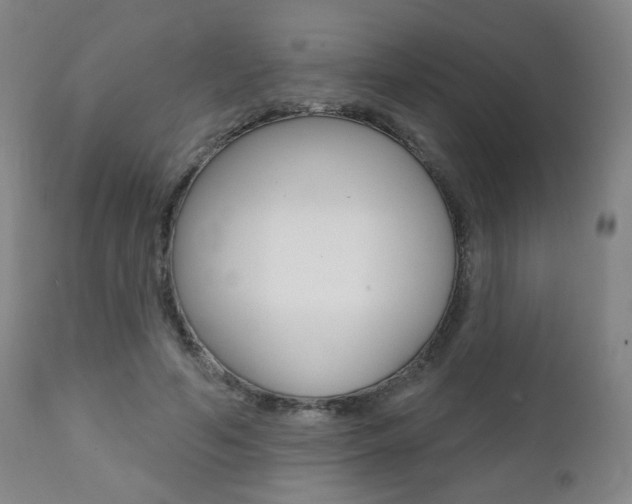 X0000111380594200907100939