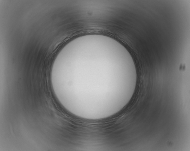X0000111380595200907100939