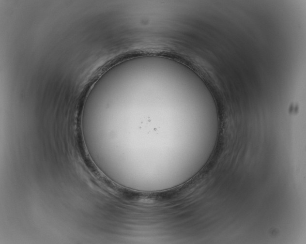 X0000111380596200907100939