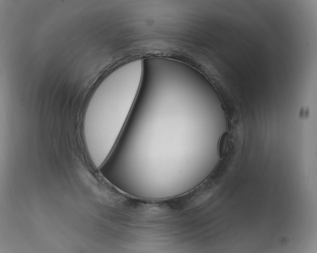 X0000111380597200907100939