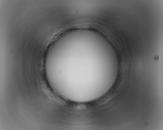 X0000111380600200907100939