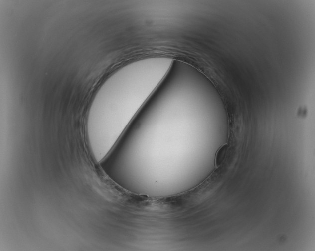 X0000111380601200907100939