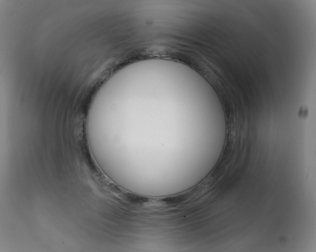 X0000111380603200907100939