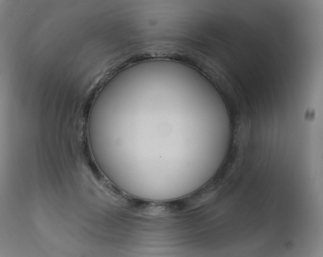 X0000111380604200907100939