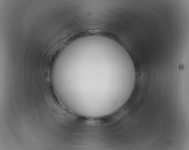 X0000111380606200907100939