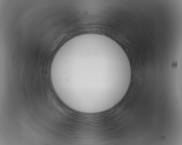 X0000111380611200907100938