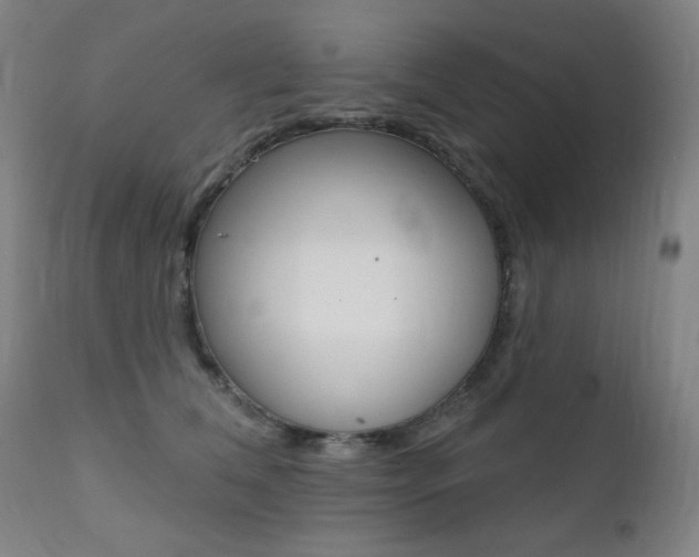 X0000111380612200907100938