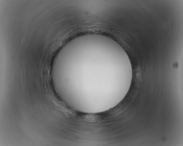 X0000111380615200907100938