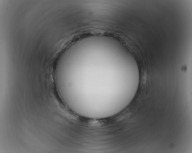 X0000111380616200907100938