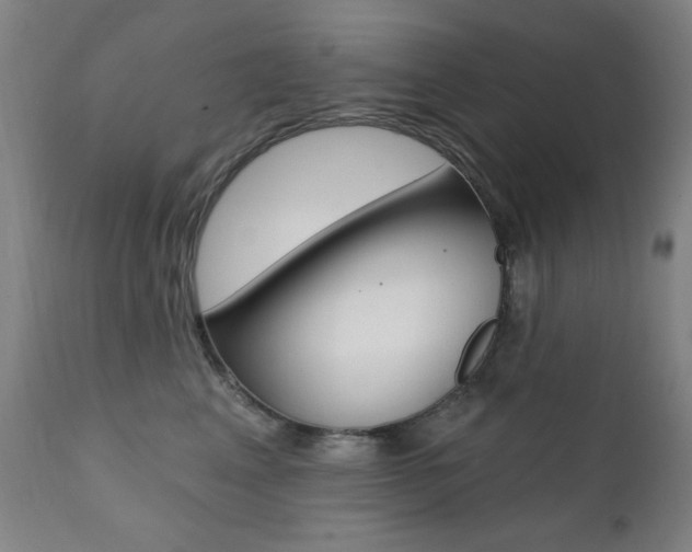 X0000111380617200907100938