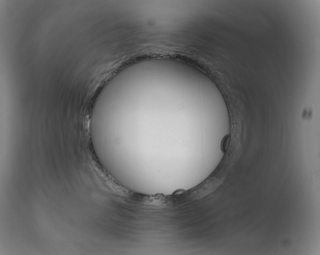 X0000111380624200907100938