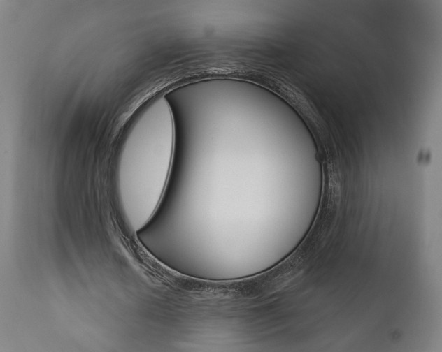 X0000111380626200907100937