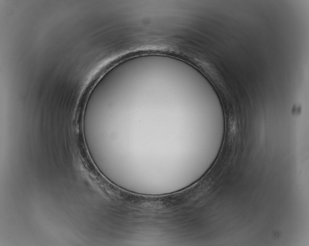 X0000111380628200907100938