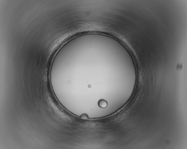 X0000111380629200907100938