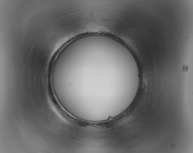 X0000111380630200907100938
