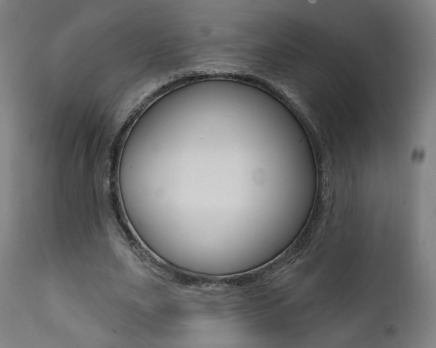 X0000111380631200907100938