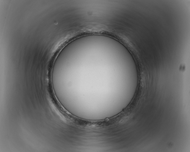 X0000111380634200907100938