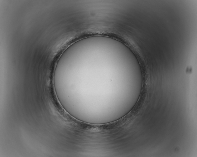 X0000111380635200907100938