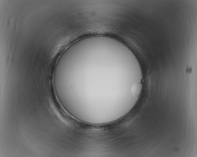 X0000111380638200907100938