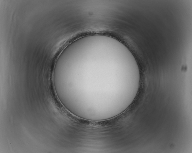 X0000111380640200907100938