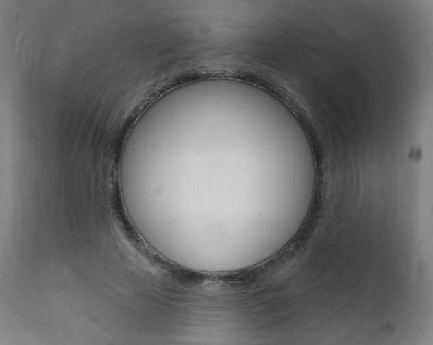 X0000111380641200907100938