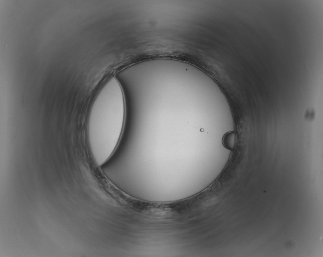 X0000111380642200907100938