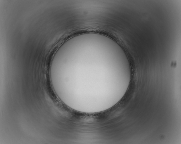 X0000111380643200907100938