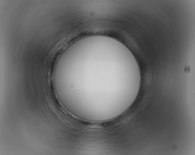 X0000111380644200907100938