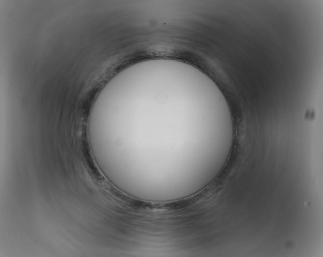 X0000111380645200907100938