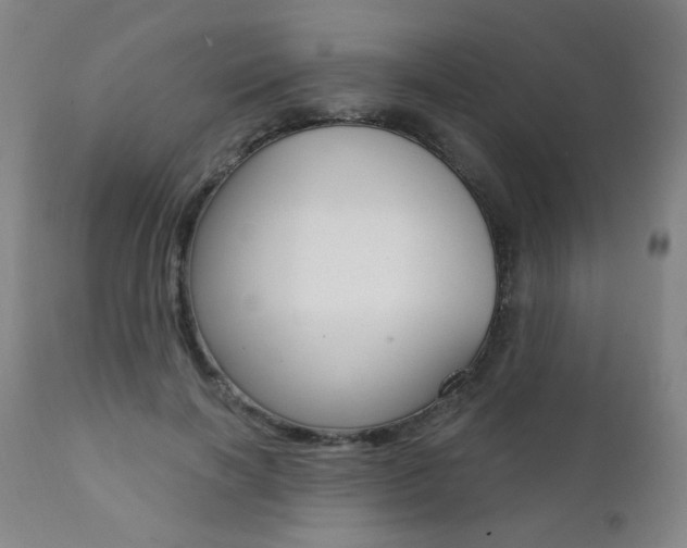 X0000111380646200907100938