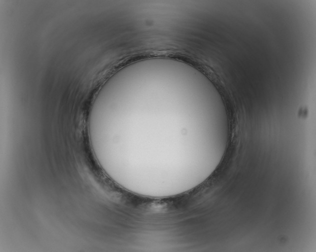 X0000111380647200907100938