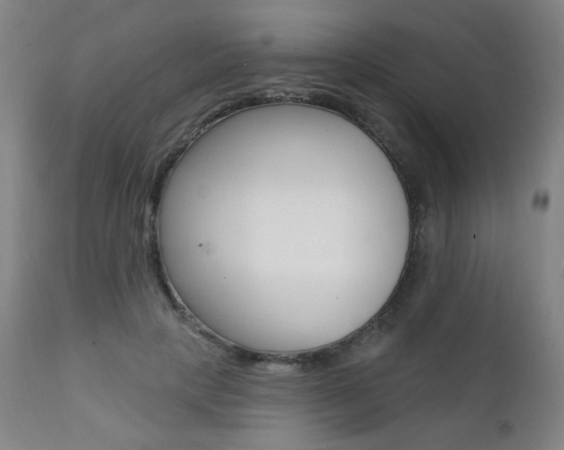 X0000111380649200907100938