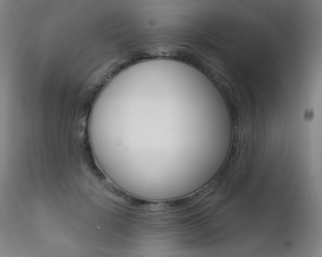 X0000111380652200907100938